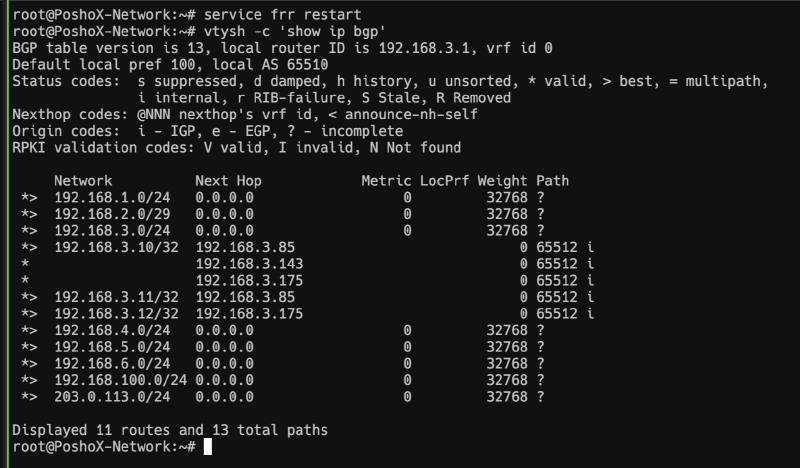 bgp-routes